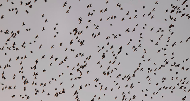 �������F(xi��n)���B�ˡ����^