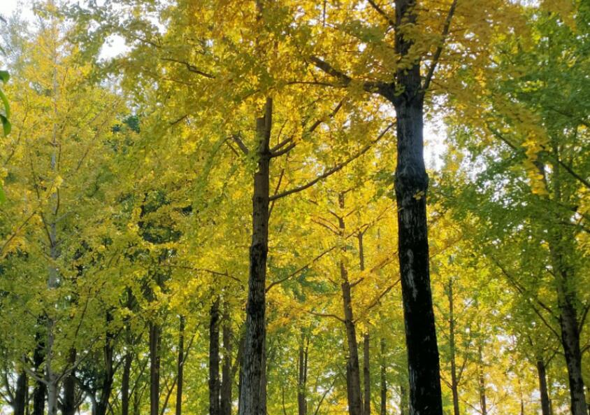 �����º����~���S